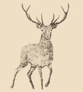 Deer engraving style