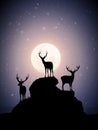 Deer family on rocks. Animal silhouettes. Full moon at starry night Royalty Free Stock Photo