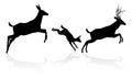 Deer Family Silhouette Royalty Free Stock Photo