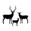 Deer family vector isolated illustration. Deer papa , deer mama and fawn isolated silhouettes. Royalty Free Stock Photo