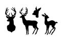 Deer and fawn. Black cut silhouette on a white background. Hand Royalty Free Stock Photo