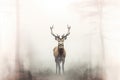 Deer in the foggy forest double exposure illustration - Generative AI.