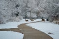 Three deer playing in the snow Kathryn Albertson Park, Boise Idaho, horizontal Royalty Free Stock Photo