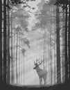 Deer in the forest