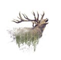 Deer and Forest. Watercolor Double Exposure effect on white background