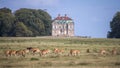 Deer in front of Klampenborg, Hermitage Hunting Lodge, Denmark Royalty Free Stock Photo