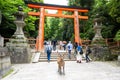 Deer in front of Torii Gate at entrance to Kasuga Taisha Shrine, Nara, Japan. Many lanterns in s row. Royalty Free Stock Photo
