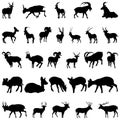 Deer and goats silhouettes set Royalty Free Stock Photo