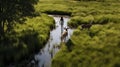 Sparkling Water Reflections: A Woman And Two Deer In A Serene Valley