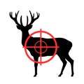 Deer and gunsight - animal is going to be killed gun and weapon
