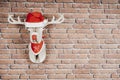 Deer hanging on the wall with santa claus hat and red necklace with copy space. Christmas decoration Royalty Free Stock Photo