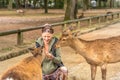 Deer harassing tourists Royalty Free Stock Photo