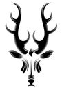 Deer head Royalty Free Stock Photo