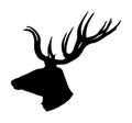 Deer head with antlers silhouette isolated on white background. Reindeer, proud Noble Deer male trophy. Powerful buck.