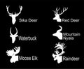 Deer head collection vector silhouette illustration isolated on black Royalty Free Stock Photo