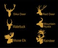 Deer head collection vector silhouette illustration isolated on black. Royalty Free Stock Photo