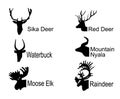 Deer head collection vector silhouette illustration isolated on white. Royalty Free Stock Photo