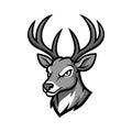 Deer Head Emblem Logo Illustration Vector Template EPS 10 Royalty Free Stock Photo