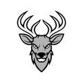 Deer Head Emblem Logo Illustration Vector Template EPS 10 Royalty Free Stock Photo