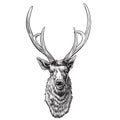 Deer head illustration,drawing, engraving, ink, line art, vector Royalty Free Stock Photo