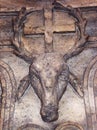 Deer head image. Ancient Roman decoration on the wall of a building.