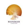 Deer Head Logo design template in circle. Wild animal hunting zoo, Deer Logotype