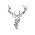 Deer head logo icon sketches lines.