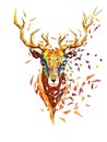 Deer head lowpolygon geometric pattern vector eps10 on winter ba Royalty Free Stock Photo
