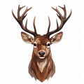 Vibrant Caricature Of Deer Head On White Background