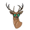 Deer head and sunglasses and thinking balloon illustration cartoon drawing coloring