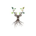 Deer head tree with leaf concept design icon vector illustration ilustration icon vector design