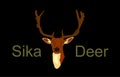 Deer head vector illustration isolated on black background. Sika deer head symbol,