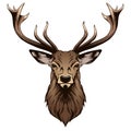 Deer head Royalty Free Stock Photo
