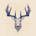 Deer head Royalty Free Stock Photo