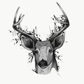 Deer head on white, hand drawn vintage illustration Royalty Free Stock Photo
