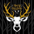 Deer head. White vector silhouette of deer`s head with golden antlers