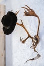 Deer horns hang on the wall, a black hat and a goblet of horns hang on the horns Royalty Free Stock Photo