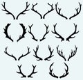Deer horns Royalty Free Stock Photo