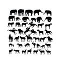 Deer, Horse and Elephant Silhouettes