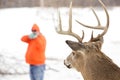 Deer hunter taking aim at a whitetail deer Royalty Free Stock Photo