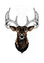 Deer illustration and earth element