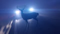 a deer infront of a car