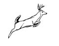 Deer jumping, black and white image