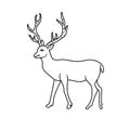 Deer logo icon hand drawn outline vector illustration Royalty Free Stock Photo