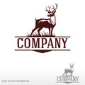 Deer logo Royalty Free Stock Photo