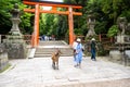 Deer makes contact with woman in front of Torii Gate at entrance to Kasuga Taisha Shrine, Nara, Japan. Many stone lanterns in row.