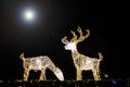 Deer made from light Christmas decorations