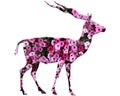 Deer made of pink petunia flowers isolated on white background Royalty Free Stock Photo