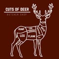 Deer meat cuts in color