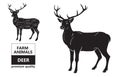 Deer meat cuts with elements and names. Isolated black on white background. Butcher shop.